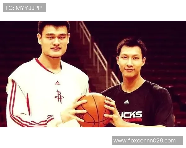 姚明与篮球传奇的背后故事揭示电影中的利润与梦想交织的精彩瞬间