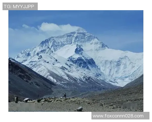 粤F姚明的篮球传奇与人生旅程探秘，见证巨人背后的奋斗与荣耀